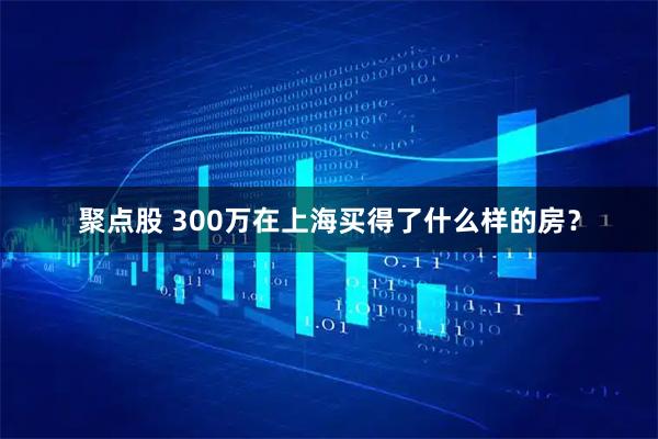 聚点股 300万在上海买得了什么样的房？