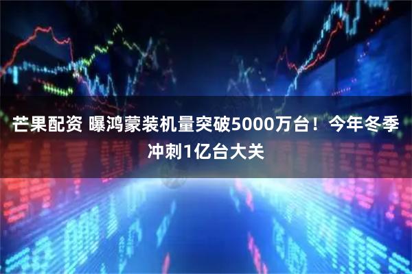 芒果配资 曝鸿蒙装机量突破5000万台！今年冬季冲刺1亿台大关