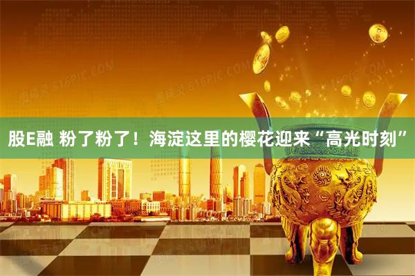 股E融 粉了粉了！海淀这里的樱花迎来“高光时刻”