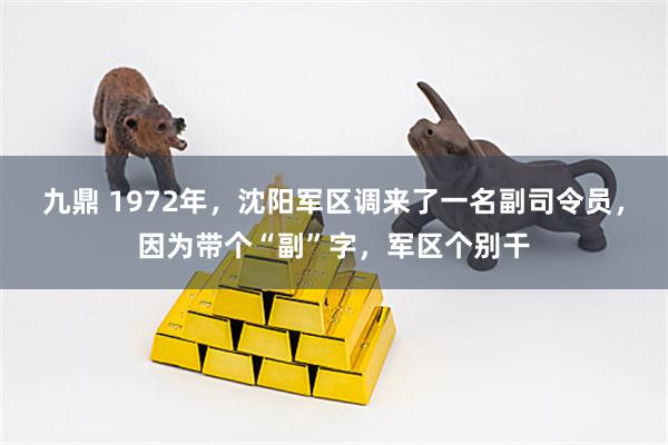 九鼎 1972年，沈阳军区调来了一名副司令员，因为带个“副”字，军区个别干