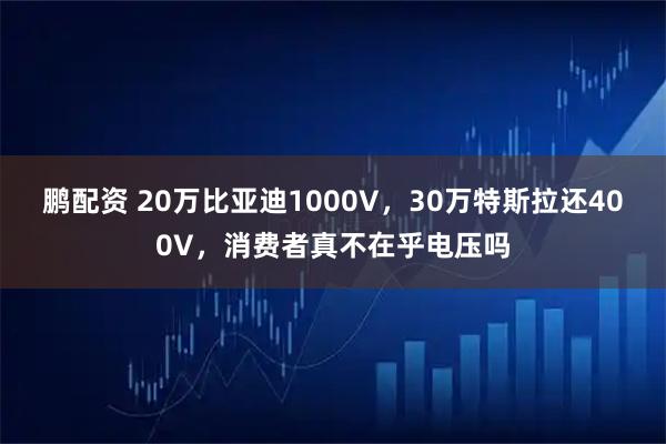 鹏配资 20万比亚迪1000V，30万特斯拉还400V，消费者真不在乎电压吗