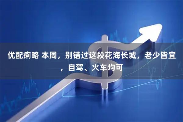 优配痢略 本周，别错过这段花海长城，老少皆宜，自驾、火车均可