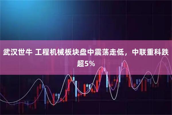 武汉世牛 工程机械板块盘中震荡走低，中联重科跌超5%