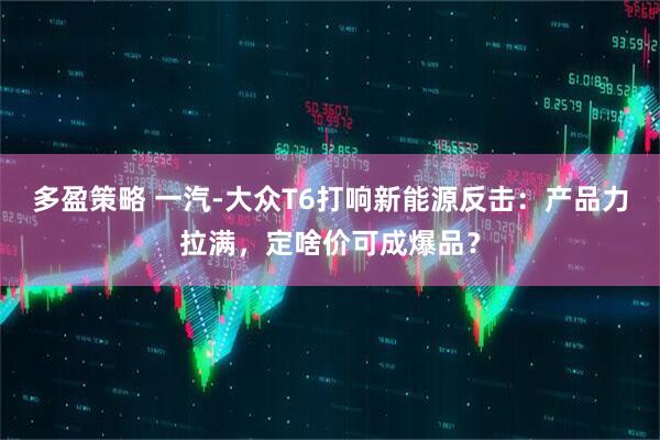 多盈策略 一汽-大众T6打响新能源反击：产品力拉满，定啥价可成爆品？
