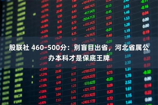 股联社 460–500分：别盲目出省，河北省属公办本科才是保底王牌