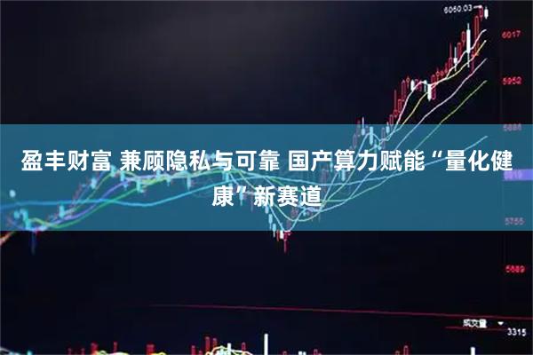 盈丰财富 兼顾隐私与可靠 国产算力赋能“量化健康”新赛道